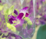 応援よろしくお願いします