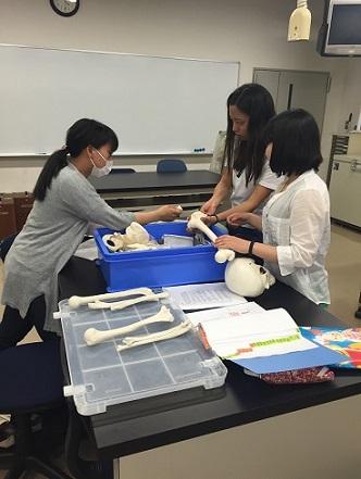 http://www.seijoh-u.ac.jp/blog/campus/2016gakuseikaranokoe_reha_5gatu.jpg