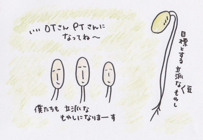 http://www.seijoh-u.ac.jp/blog/occupational/mt_imgs/6_2.jpg