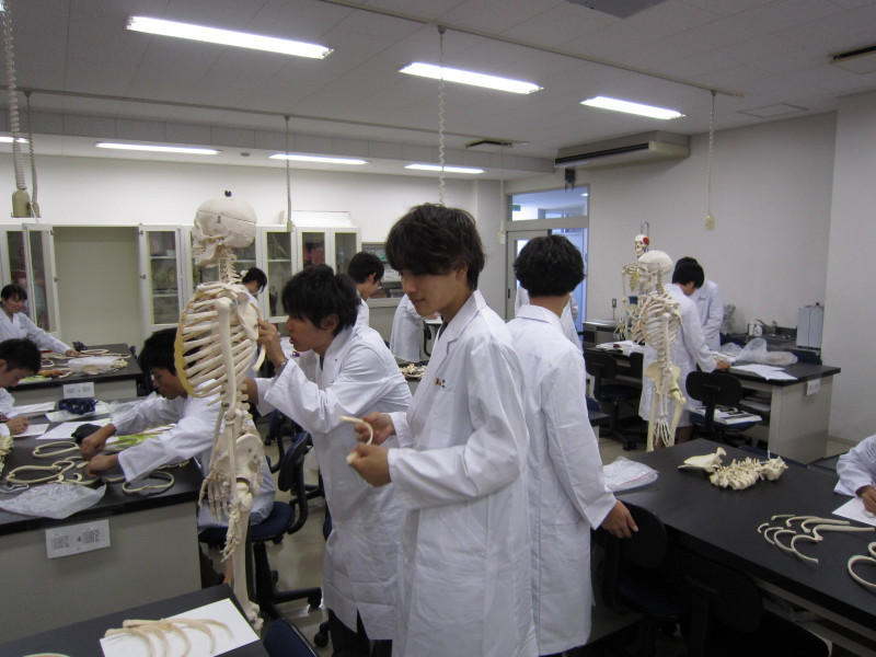 http://www.seijoh-u.ac.jp/blog/occupational/mt_imgs/img_0167_2.jpg