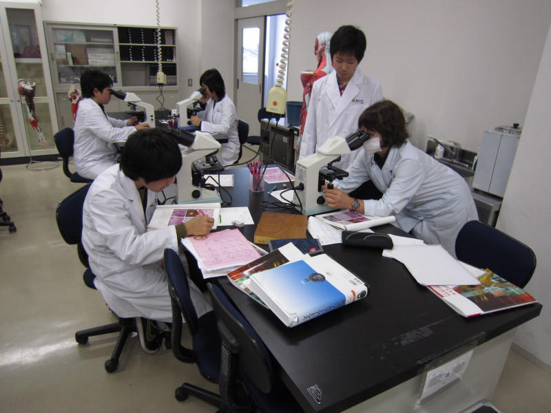 http://www.seijoh-u.ac.jp/blog/occupational/mt_imgs/img_0179.jpg