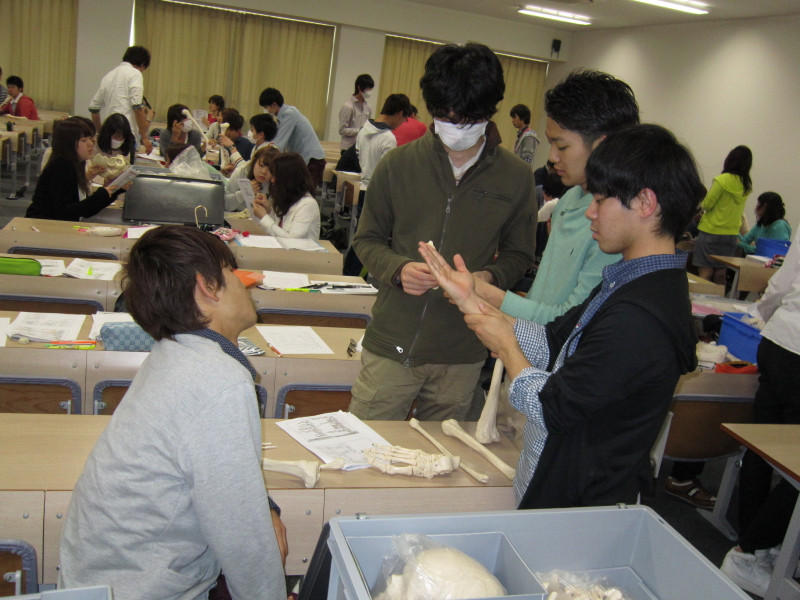 http://www.seijoh-u.ac.jp/blog/occupational/mt_imgs/img_0218.jpg