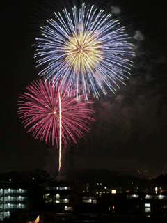 hanabi.gif
