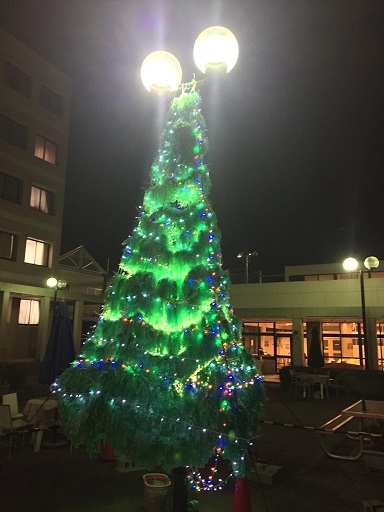 5_christmas_25_70.jpg