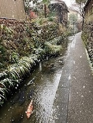 ⑧城下町を流れる用水.jpg