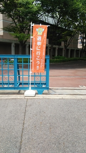 20190709_voting_01.jpg