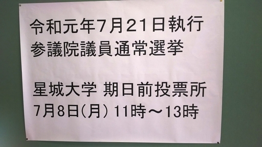 20190709_voting_02.jpg