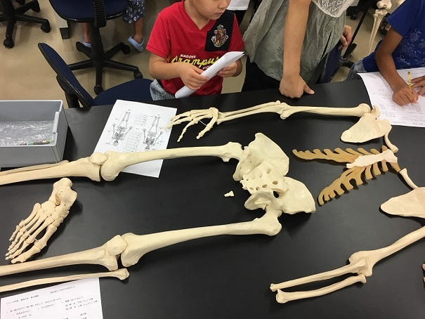 No2_25_60.jpg