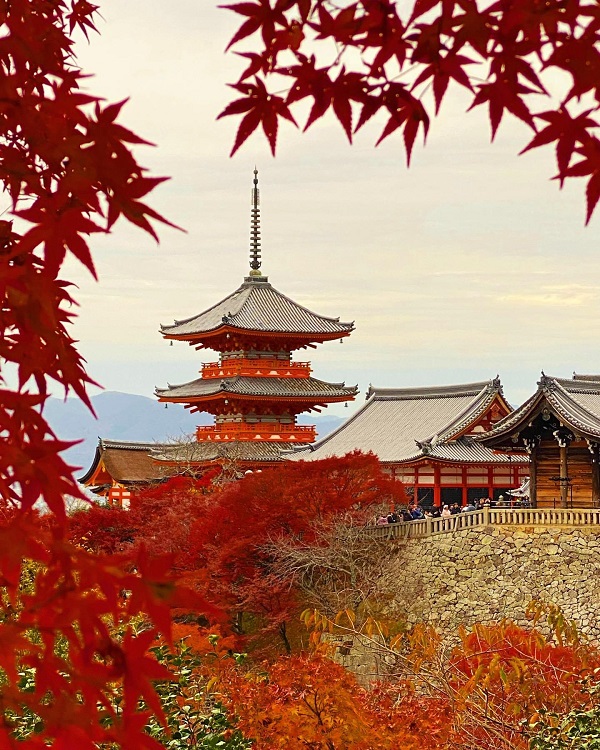 3紅葉.JPG