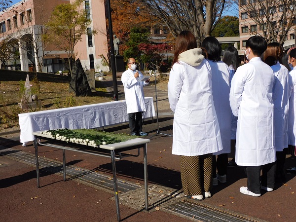 DSCN2732.JPG